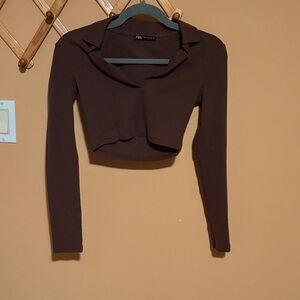 Zara Chocolate Brown Long Sleeve Crop Top